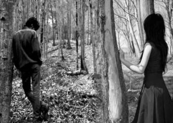 लंबी कविता : ब्रेक-अप:  बाबुषा कोहली