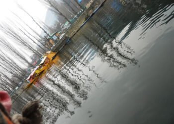 कश्मीर तीन साल पहले: यादवेन्द्र