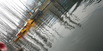 कश्मीर तीन साल पहले: यादवेन्द्र