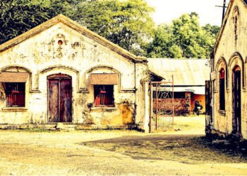 छिपकलियाँ : नरेश गोस्वामी