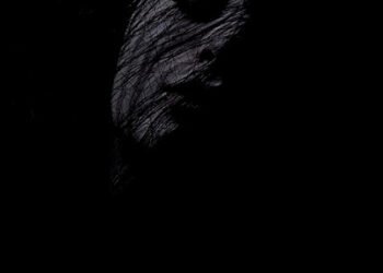 क़ातिल की बीबी: तरुण भटनागर