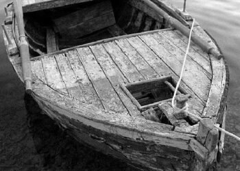 प्रलय में नाव: तरुण भटनागर