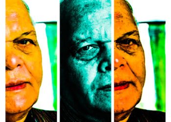 विष्णु खरे : विवरण में संसार : सविता सिंह