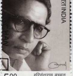 हरिवंशराय बच्चन : कवि नयनों का पानी : पंकज चतुर्वेदी