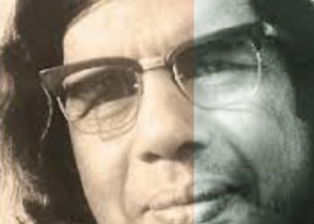 मैला आँचल में राजनीति की बारादरी: अमरेन्द्र कुमार शर्मा