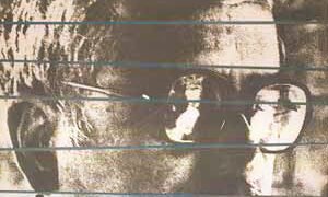 विनोद कुमार शुक्ल: गिरिराज किराडू