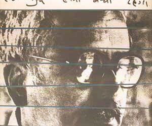 विनोद कुमार शुक्ल: गिरिराज किराडू