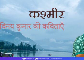 कश्मीर: विनय कुमार की कविताएँ