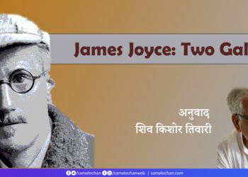 जेम्स ज्वायस: दो नागर: अनुवाद: शिव किशोर तिवारी