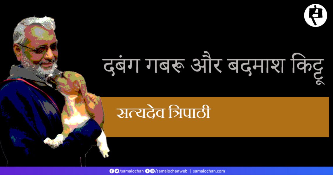 दबंग गबरू और बदमाश किट्टू: सत्यदेव त्रिपाठी