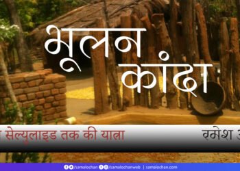 भूलन कांदा : मुद्रित से सेल्युलाइड तक  की यात्रा: रमेश अनुपम