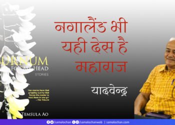 नगालैंड भी यही देस है महाराज: यादवेन्द्र