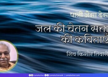 पानी जैसा देस:  शिव किशोर तिवारी