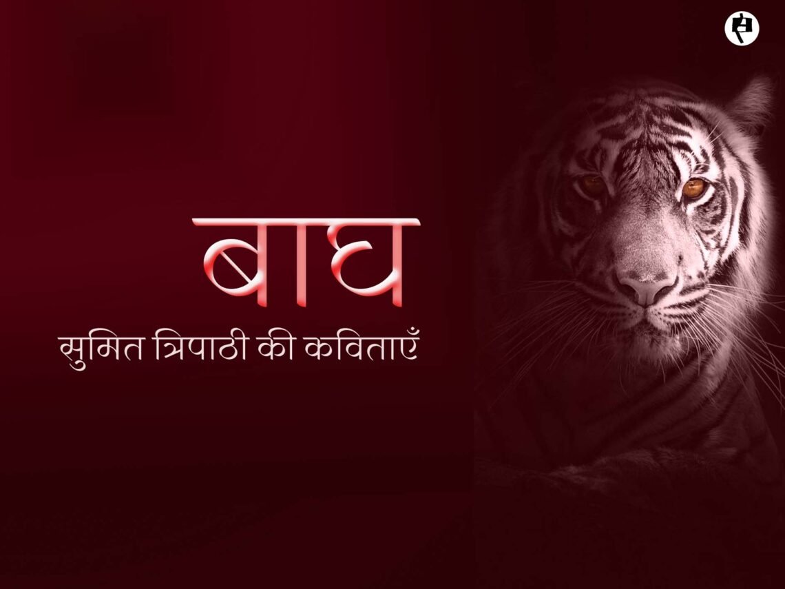 बाघ: सुमित त्रिपाठी की कविताएँ