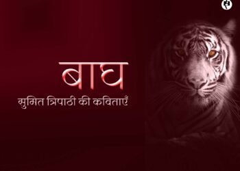 बाघ: सुमित त्रिपाठी की कविताएँ