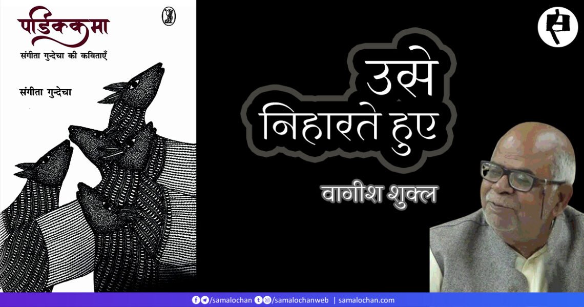 उसे निहारते हुए: वागीश शुक्ल