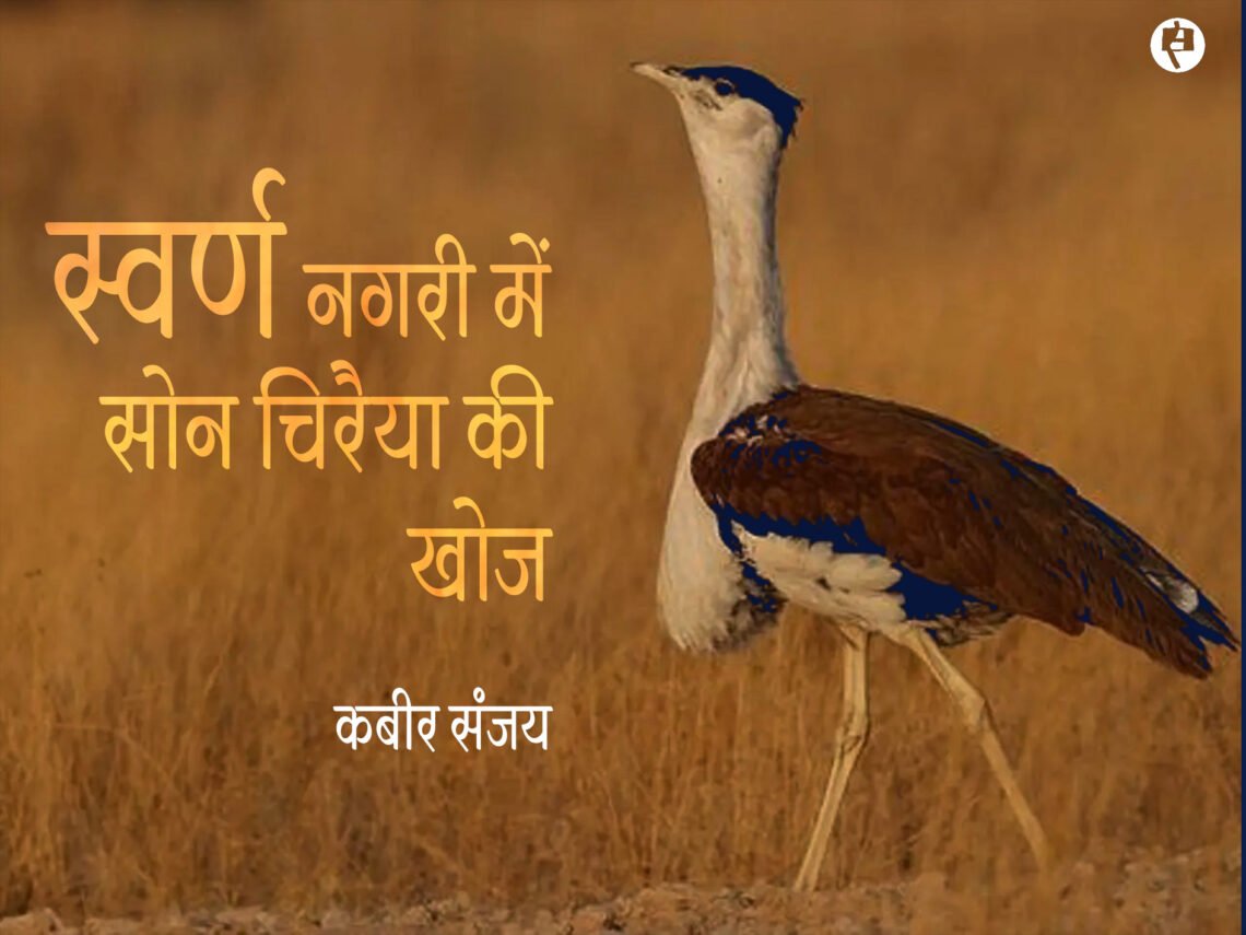 स्वर्ण नगरी में सोन चिरैया की खोज: कबीर संजय