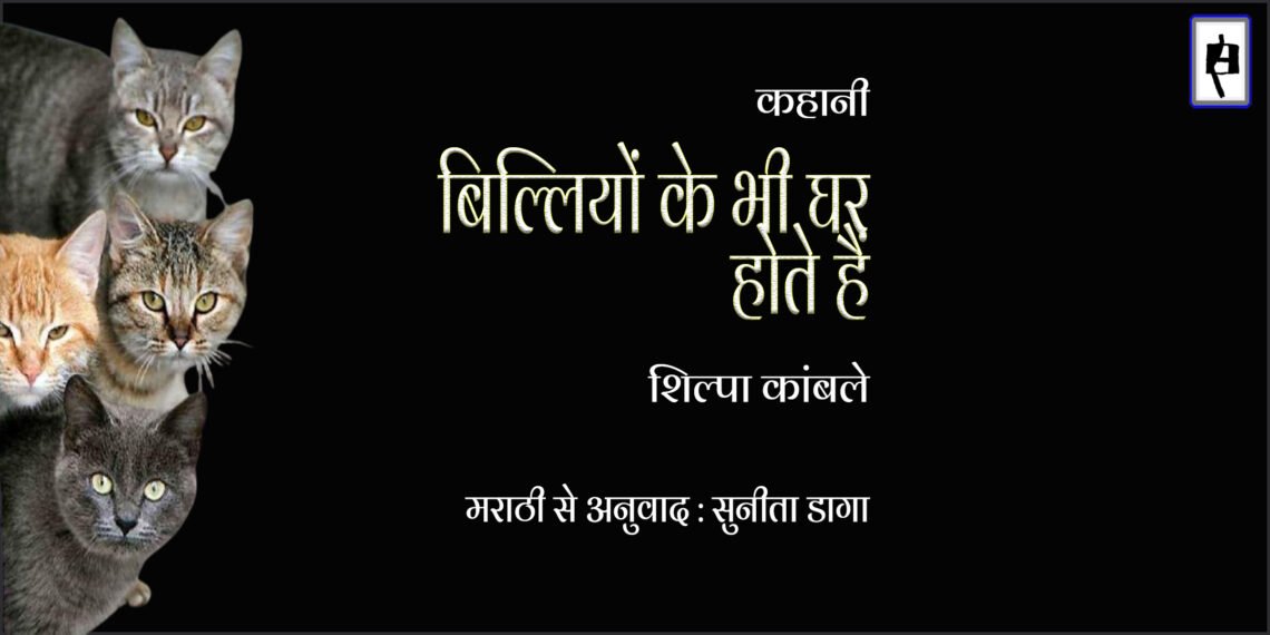 बिल्लियों के भी घर होते हैं : शिल्पा कांबले